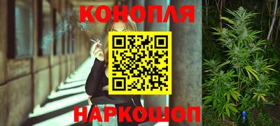 прущие грибы Будённовск
