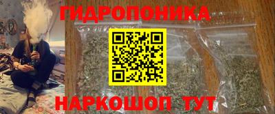 прущие грибы Будённовск