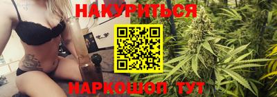 прущие грибы Будённовск