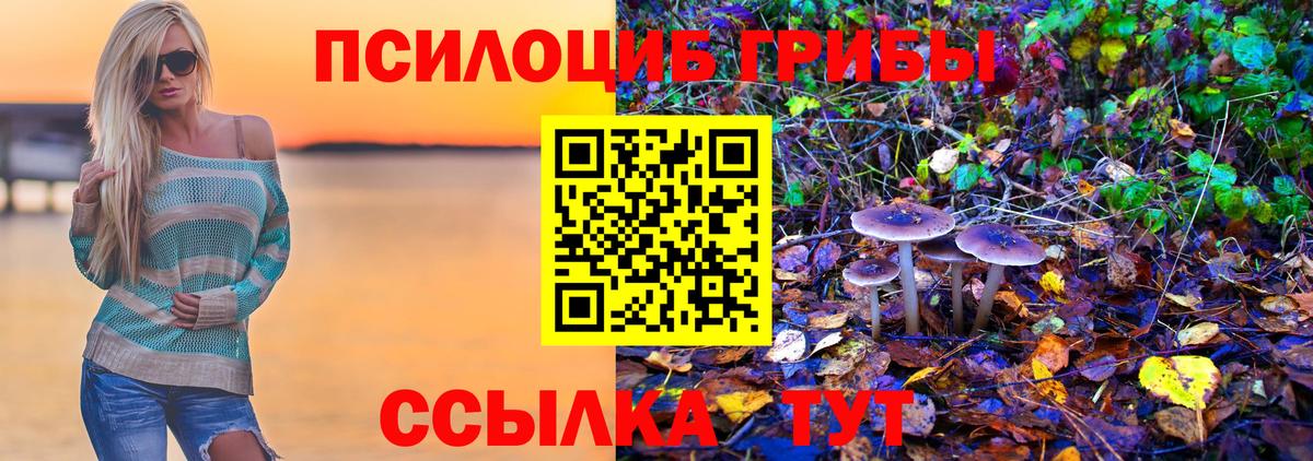 Псилоцибиновые грибы ЛСД Костомукша