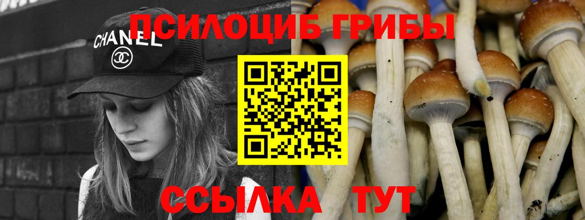 Псилоцибиновые грибы мицелий  Вход с VPN  магазин продажи   Костомукша 